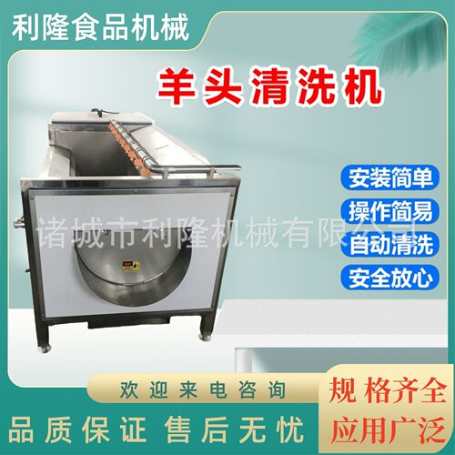 核桃椰枣清洗去泥一体机 小龙虾清洗去杂设备 果蔬毛辊清洗机