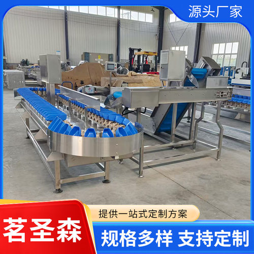 水产品加工分拣机海参扇贝视觉分选机 海鲜加工生产线配套分级机