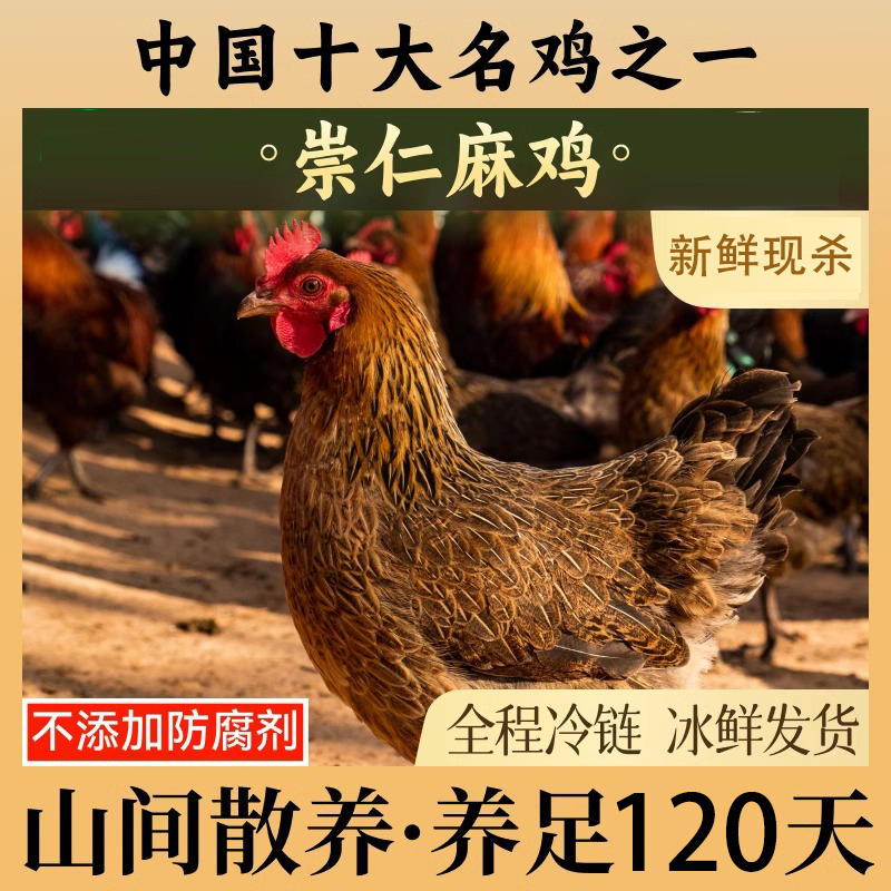 崇仁麻鸡农家散养土鸡新鲜现杀童子鸡冰鲜老母鸡农村走地鸡冷冻