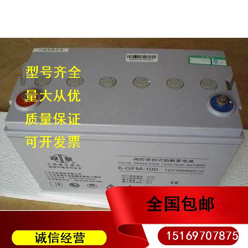 双登12VAH 6-GFM-100 UPS电源太阳能EPS专用蓄电池普通干电池1号