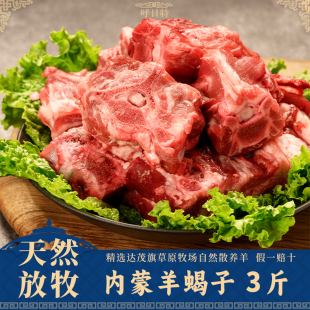 羊肉新鲜内蒙散养原切羊蝎子3斤羊脊骨羊排羊棒骨火锅礼盒不膻