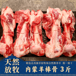 羊肉新鲜内蒙草原散养原切羊棒骨骨髓羊排羊骨髓带肉炖煮营养鲜香