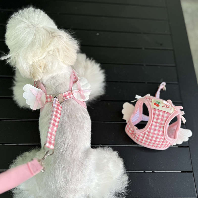 宠物牵引套装胸背带猫咪狗衣服外出遛狗绳小型犬可爱比熊泰迪博美