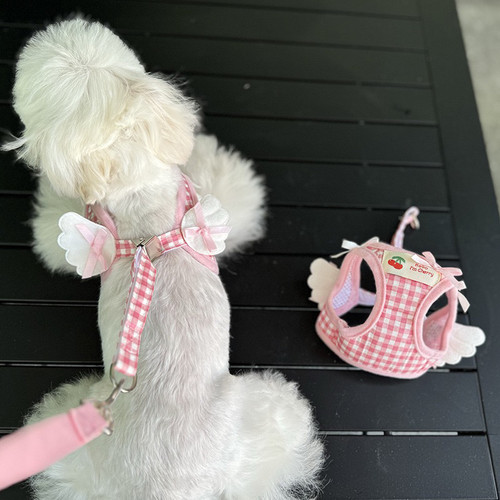 宠物牵引套装胸背带猫咪狗衣服外出遛狗绳小型犬可爱翅膀比熊泰迪