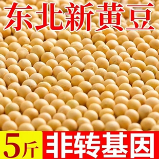 黑龙江东北2025非转基因新黄豆农家自种大豆生豆芽打豆浆专用豆子