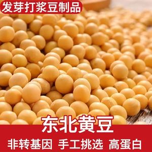 2024黄豆东北新货打豆浆专用大豆发豆芽五谷杂粮非转基因新鲜粗粮