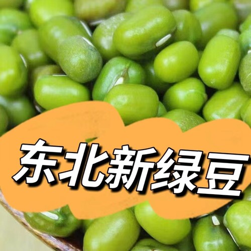 东北绿豆新货大绿豆农家新鲜小绿豆发豆芽煮粥汤易沙新豆精品