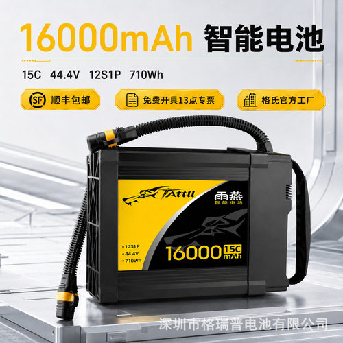 格氏雨燕智能电池12S6ma
