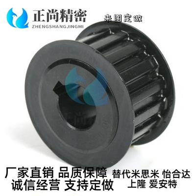 ptpm ptpp12 14 15 16 18 20 22 24 25 26 30p5m100替代
