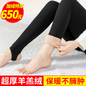 东北特厚一体棉裤 羊羔绒打底裤 保暖裤 加绒加厚高腰大码 女外穿冬季