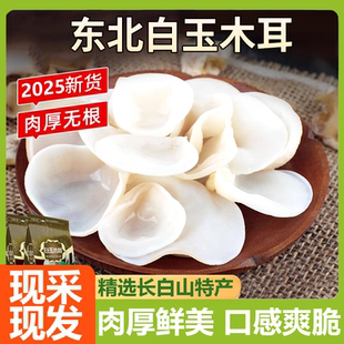 白玉木耳干货特级正宗东北特产长白山小碗商用白玉木耳官方旗舰店