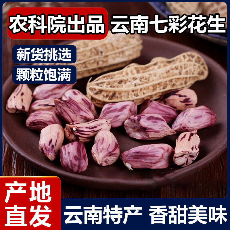 新货云南新货七彩花生带壳硒云南黑富花生七彩花生种野地水果花生