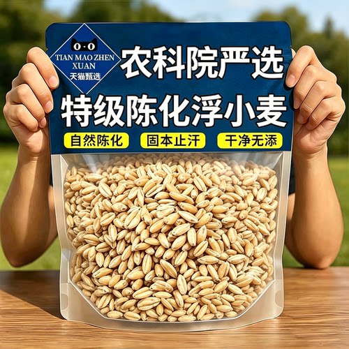 正宗浮小麦中药材旗舰店止汗茶止汗汤正宗小麦茶瘪麦子三伏天养生