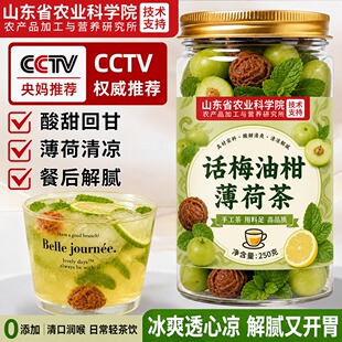 话梅油柑薄荷茶泡水青柠餐后饮养阴生津水补液止渴润燥润喉冷泡茶