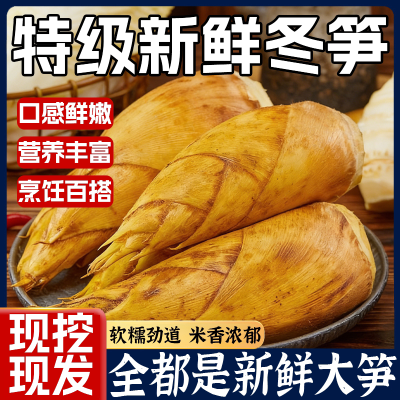 央妈推荐！特级新鲜冬笋新鲜现挖5斤鲜笋竹笋清水笋春笋火锅笋