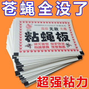 苍蝇贴强力粘苍蝇纸粘蝇板沾蚊蝇杀手捕捉器一扫光家用灭蝇子神器