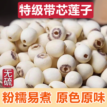 带芯莲子莲子干货500g特级莲子干货脆去芯带心带芯莲子官方旗舰店