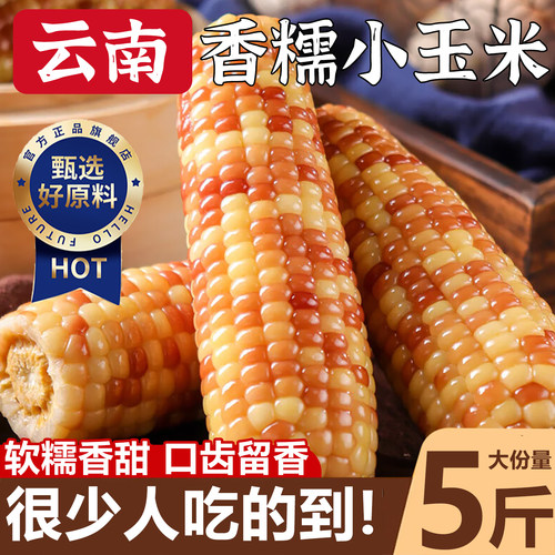云南西双版纳玉米新鲜拇指糯玉童宝宝米第一名北纬47度即食真空包