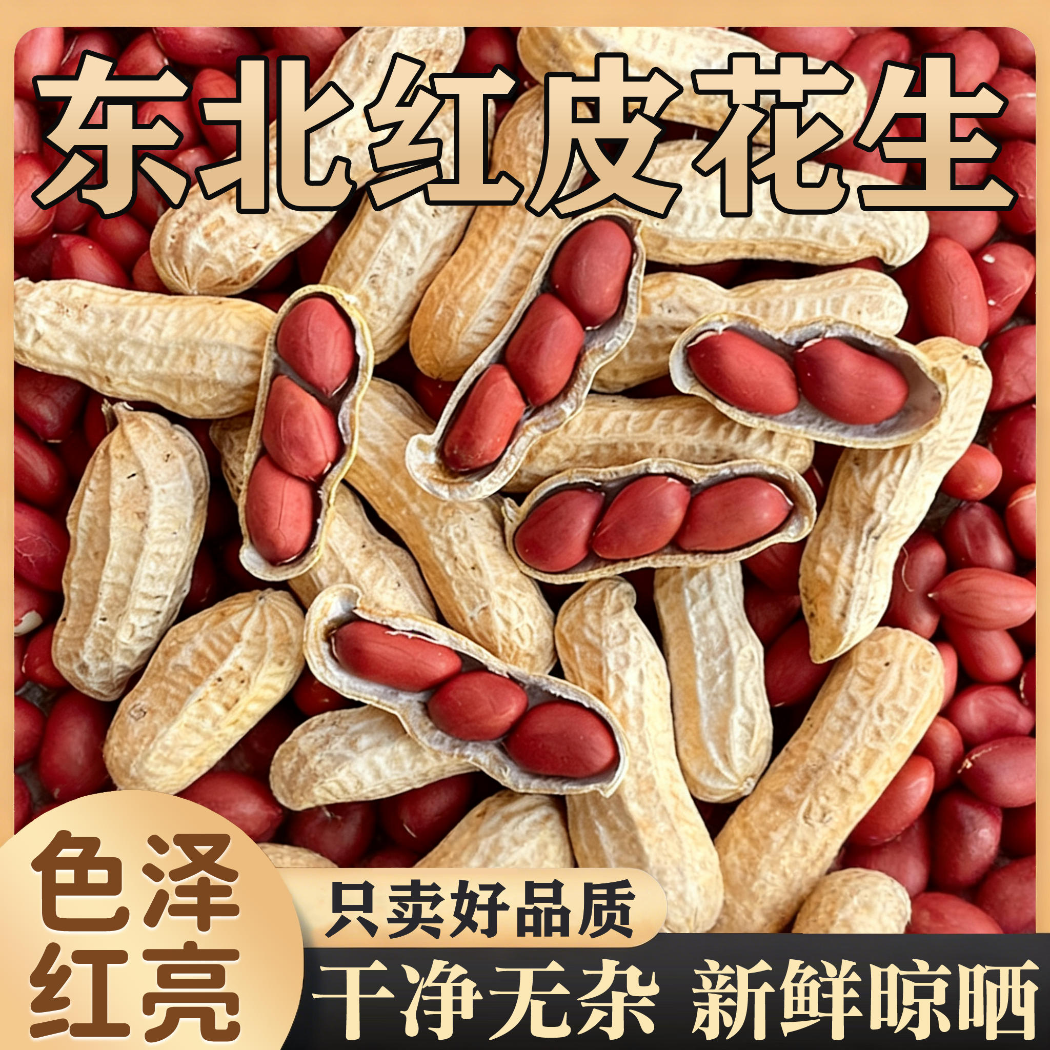 东北红皮花生2025新货