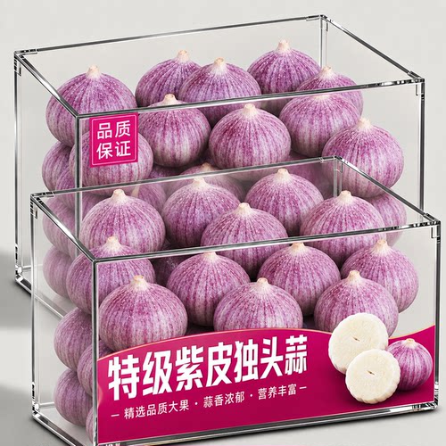 独头蒜紫皮2026云南紫皮独头蒜官方旗舰店农家干蒜个头圆圆头独蒜
