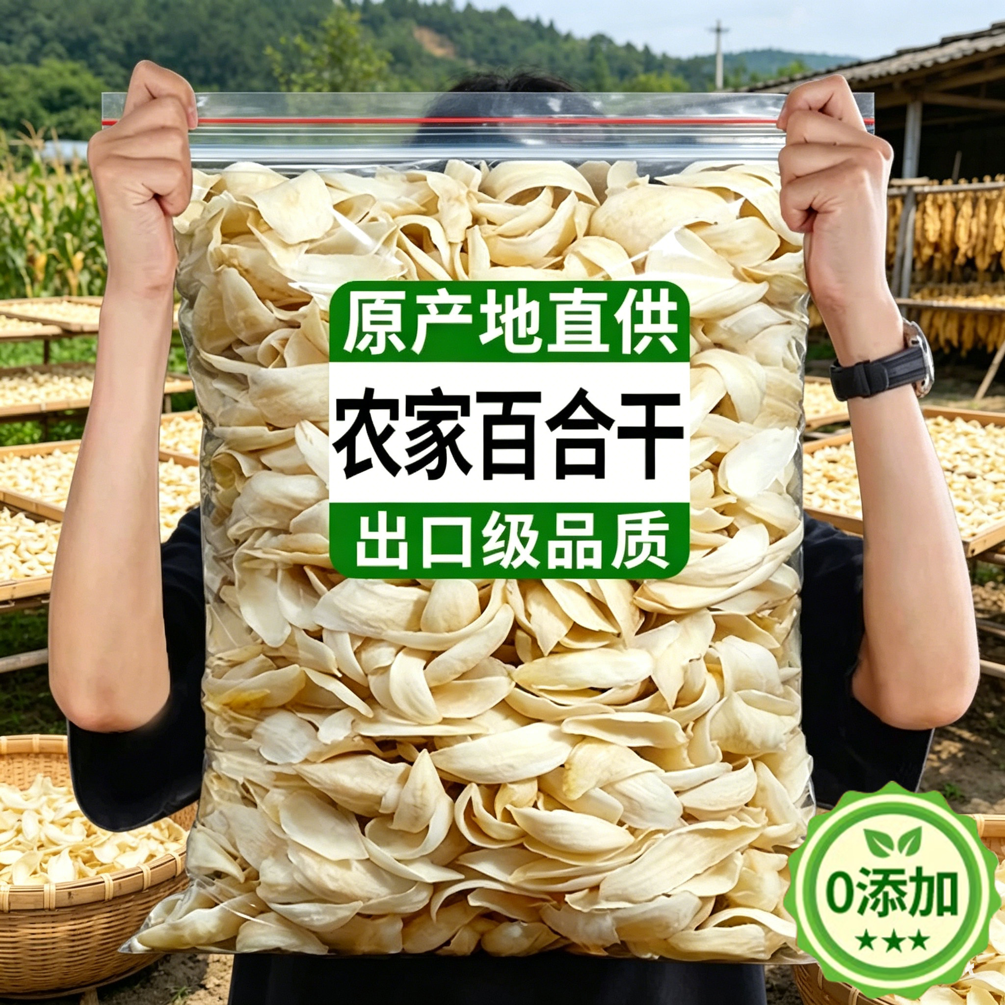 食用无硫正宗兰州百合干干货特级官方旗舰店优质天然龙牙野生有机