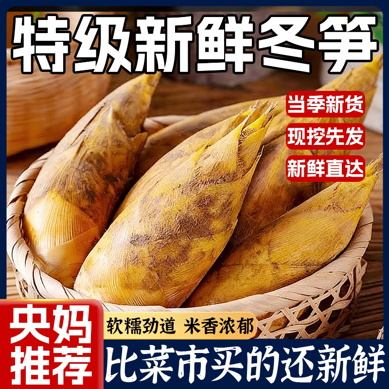 央妈推荐！特级新鲜冬笋新鲜现挖5斤鲜笋竹笋清水笋春笋火锅笋