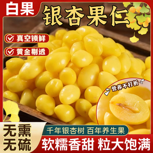 2025新货白果银杏果仁炒熟带壳即食鲜官方旗舰店润肺止咳无熏无硫