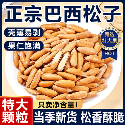 【阿富汗特产大粒】手剥巴西松子