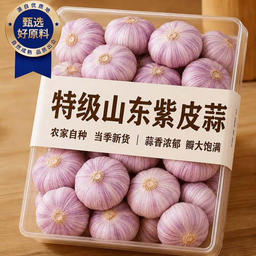 新蒜大蒜头2026年新蒜新鲜山东金乡紫皮大蒜头新蒜新鲜现挖大蒜头