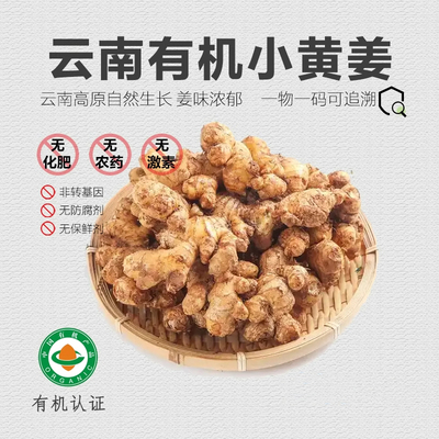 云南罗平老姜生姜干正宗云南小黄姜旗舰店农家自种现挖2025新货