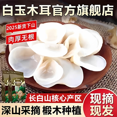 【全网热销300w】长白山白玉木耳