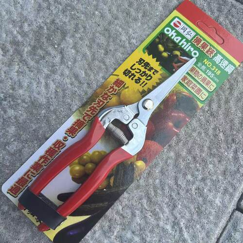 岡弘318摘果嫩芽剪直头修枝剪刀采果稀果树枝剪疏花剪果树盆景剪