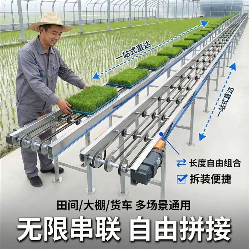 可折叠秧苗输送机育秧流水线秧盘输送带育苗塑料大棚育苗盘运输机