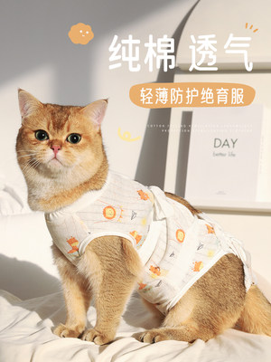 猫咪绝育服母猫手术服衣服透气戒奶服断奶服公猫防舔术后宠物猫猫