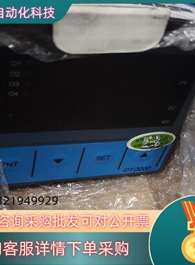 东辉仪表DY2000
