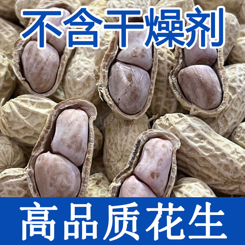 新货龙岩特产水煮白晒咸干湿烤带壳花生蒜香五香咸干原味花生米