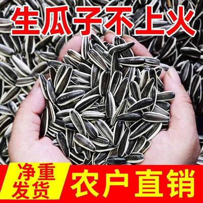 【2025年】新货新鲜生葵花子内蒙古生瓜子原味炒熟特大颗粒香瓜子