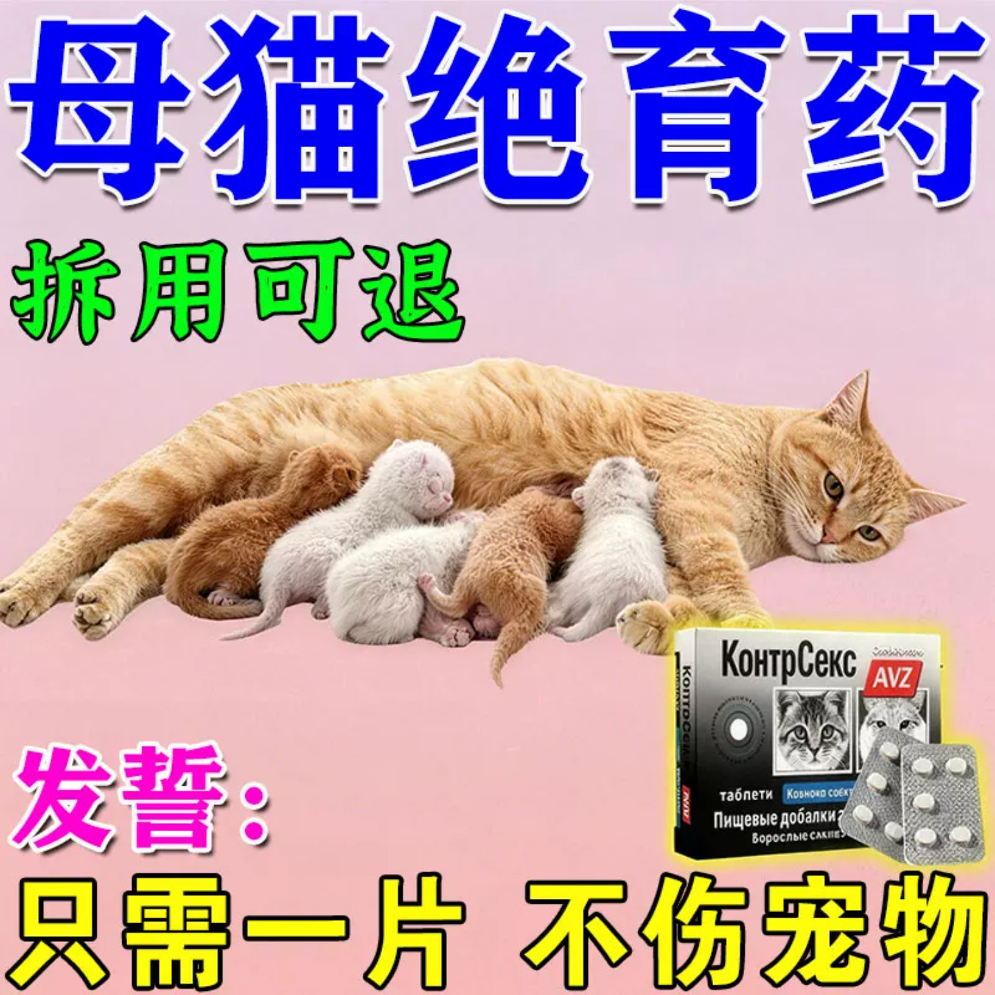 猫咪久育公母通用不生崽不发身不乱尿防绝母猫怀孕永
