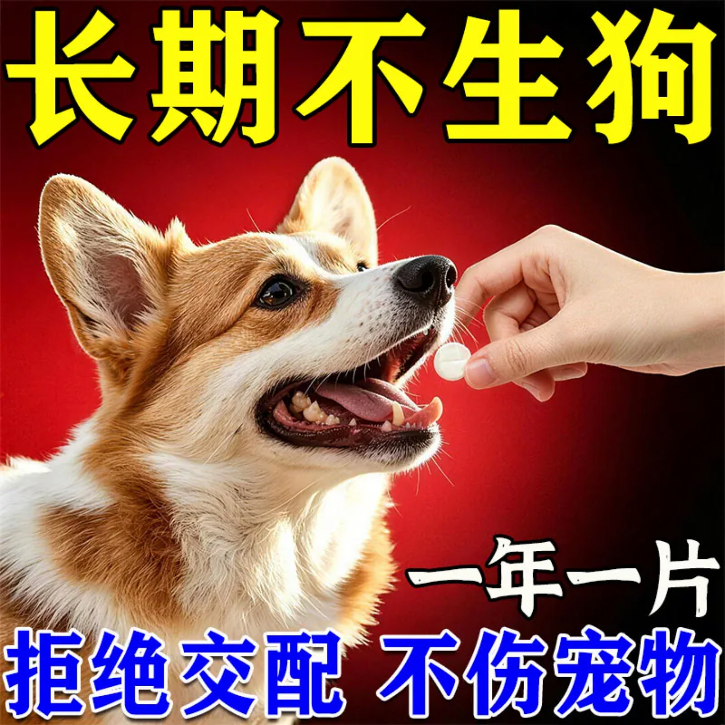 狗狗永久绝育公母通用永久绝育不发身不乱尿避孕不生崽防母狗怀孕
