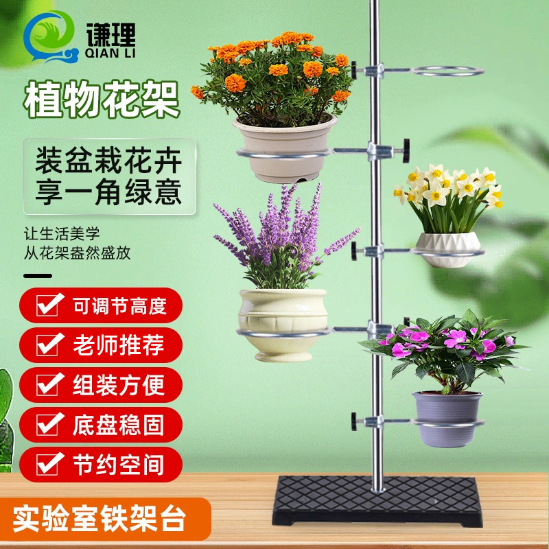 花架植物支架多功能铁架台加厚国标全套14cm/16cm特大铁圈大铁环铸铁底板高60/80/100/120厘米化学实验室方座