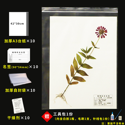 腊叶标本采集压制作台纸植物标本夹蜡叶吸水纸普查中药材纸标本纸
