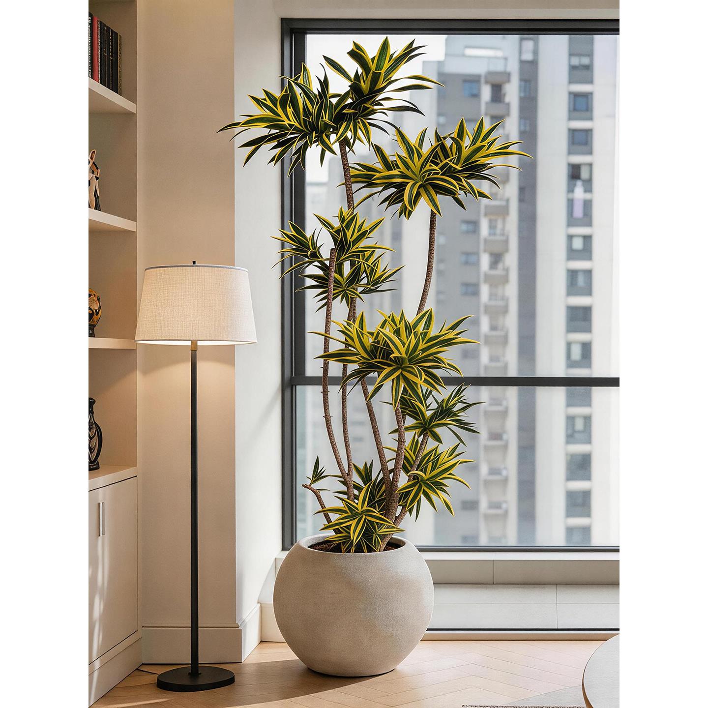 梦幻金边百合竹大型绿植物客厅高端轻奢造型落地好养室内盆栽老桩