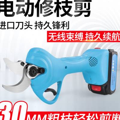 新款家用电动剪刀果树剪子充电式园林电动修剪机树枝修枝剪高空剪