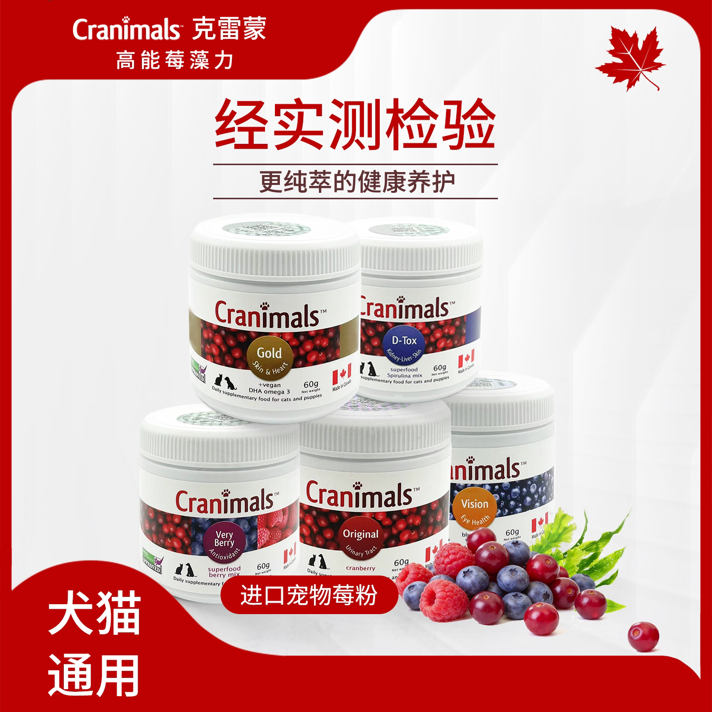 克雷蒙宠物经检蔓越莓粉