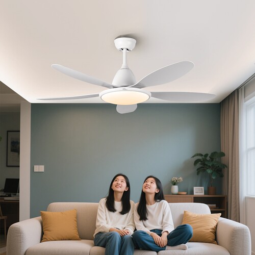 丰韵五叶大风力吊扇灯客厅餐厅卧