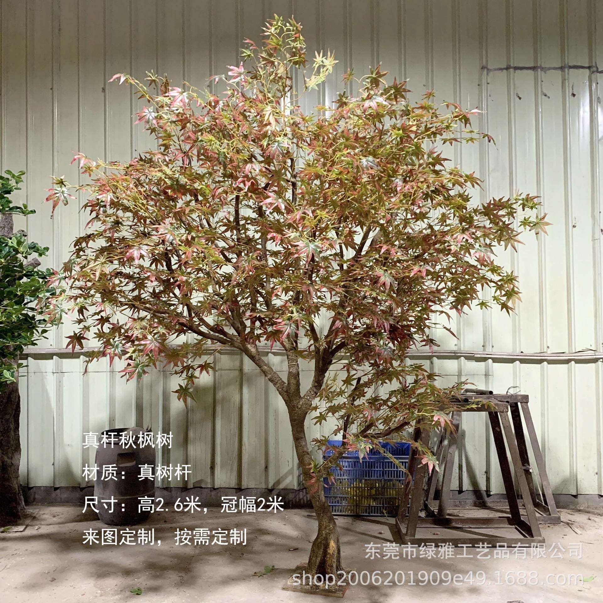 仿真枫树真杆秋枫树高端枫树商业美陈造景装饰假树