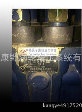 潍柴8170原装龙口喷油泵总成8170Z.31.00BHT8P9170R6821A6821A