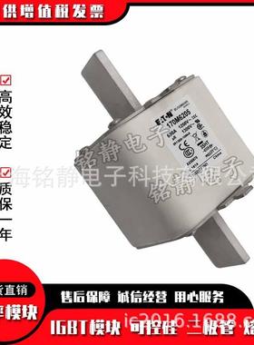 170M6258170M6259170M6260170M6261巴斯曼熔断器现货170M6262