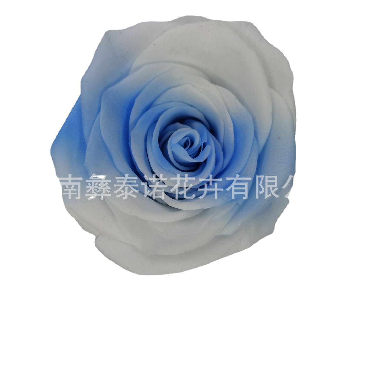 品4-5厘米双色渐变玫瑰礼永生花盒装彩炫云南厂005家直供节日推荐