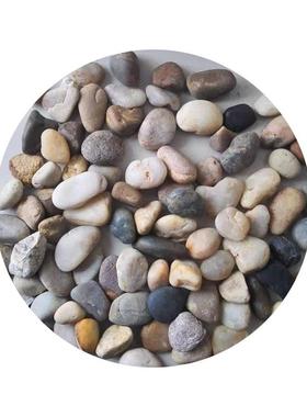 杂色鹅卵石748料厂家园造景铺路五彩雨花石鱼滤林缸垫底石子